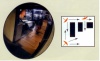 13" Indoor Glass Convex Mirror